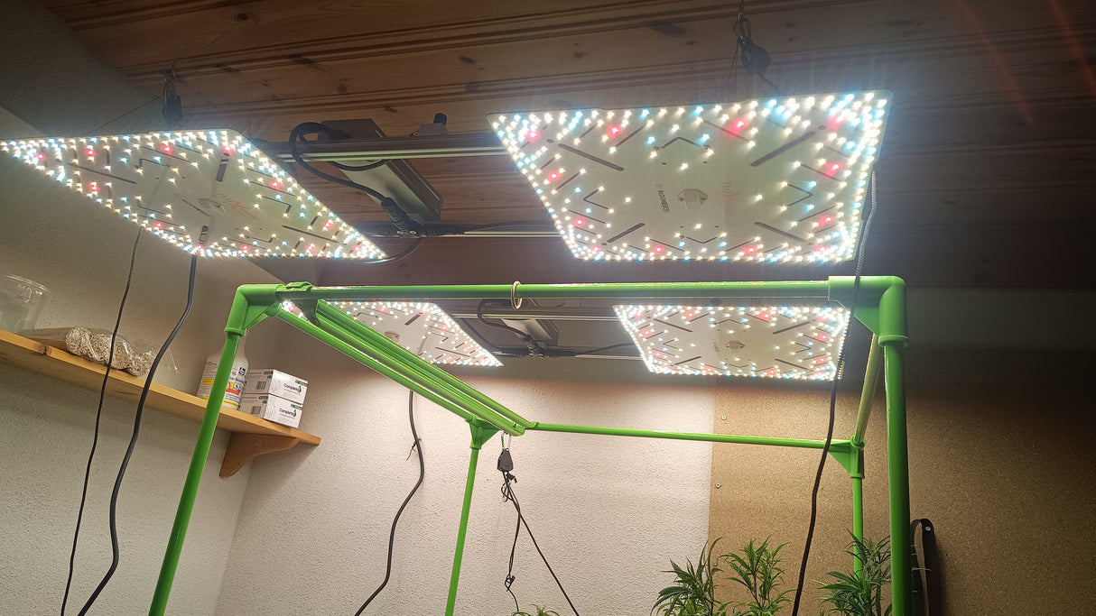 Wing Commander 900-für maximale Power/Fläche