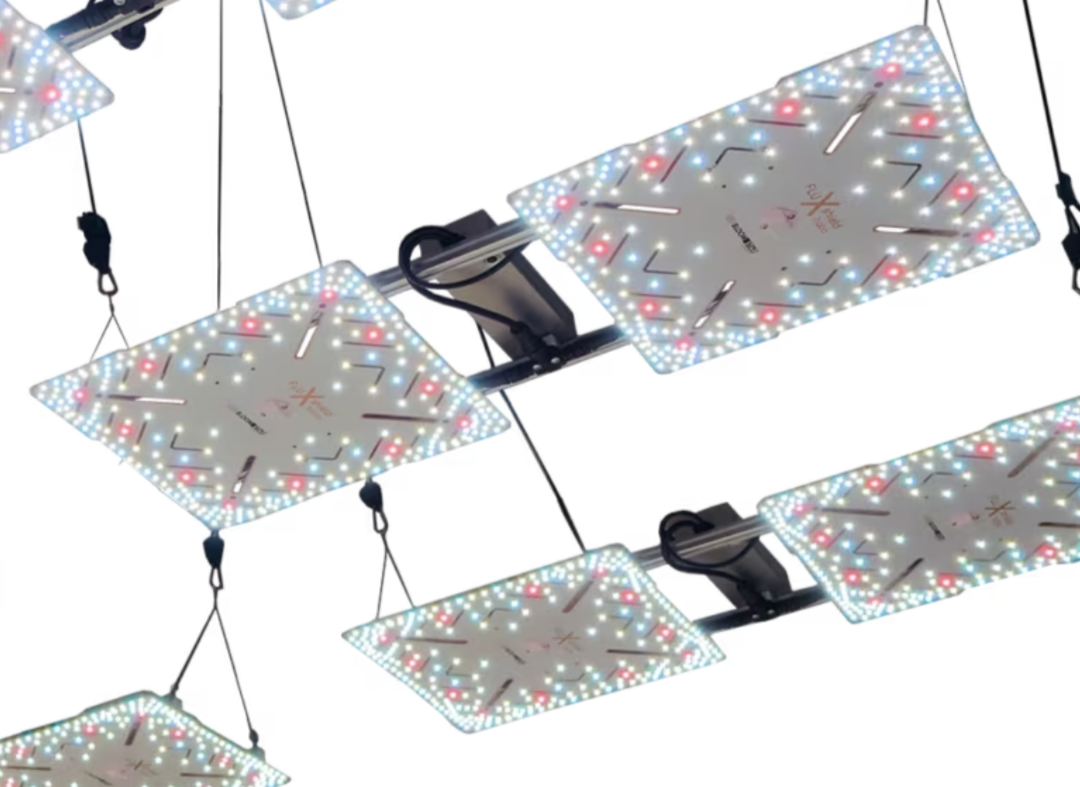 Wing Commander 900-für maximale Power/Fläche