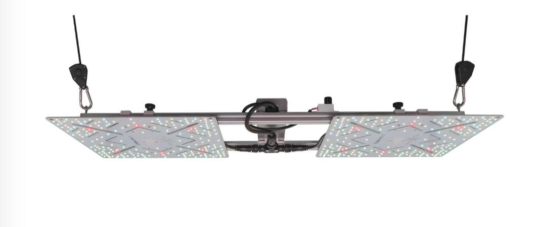 Wingman 600 (2 Fluxshield 300)