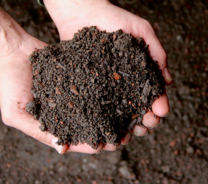 Schwarzerde Bio -Ausverkauft!