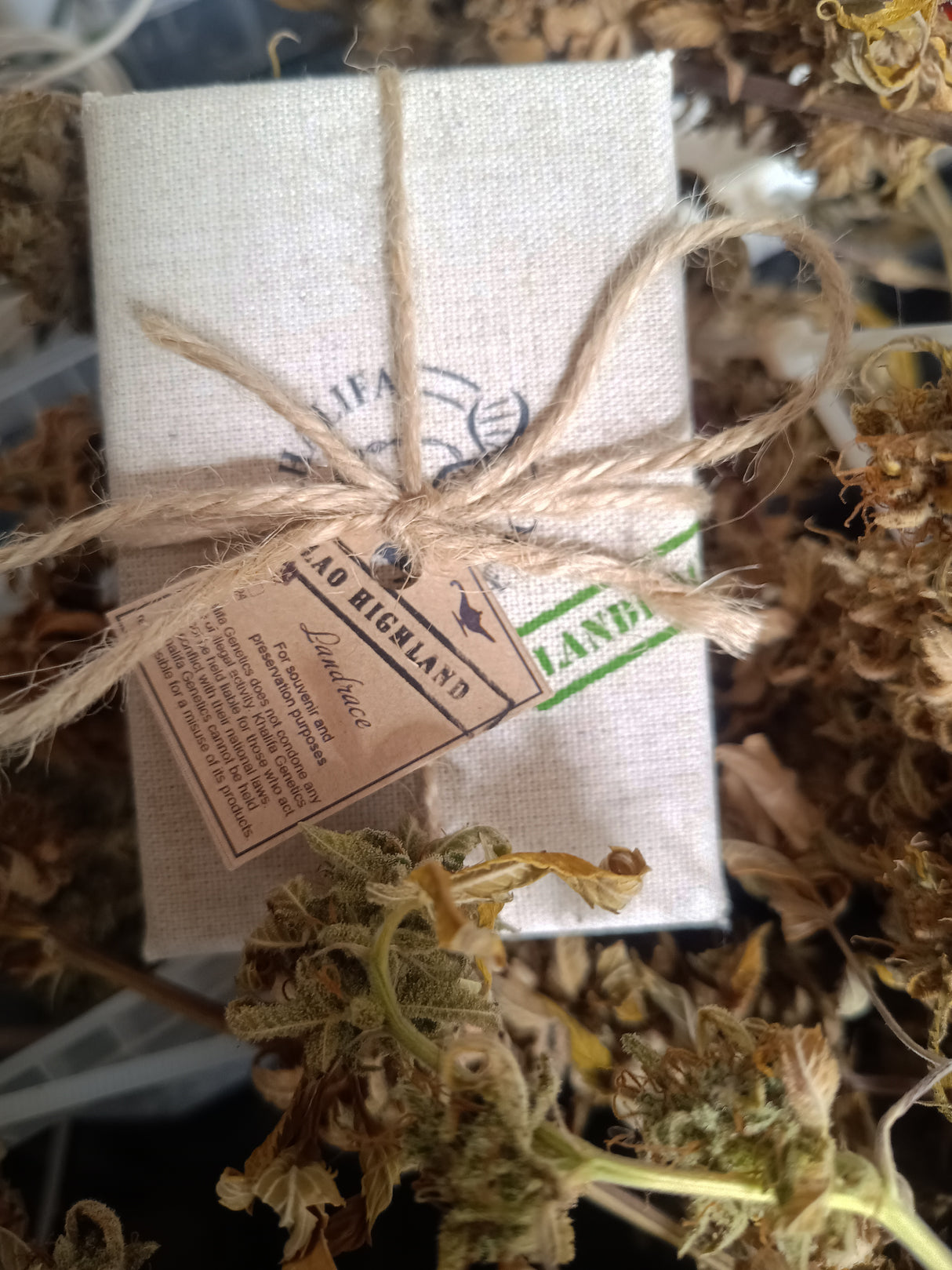 Laos Highland Tribe - Laotischer Hochland Stamm