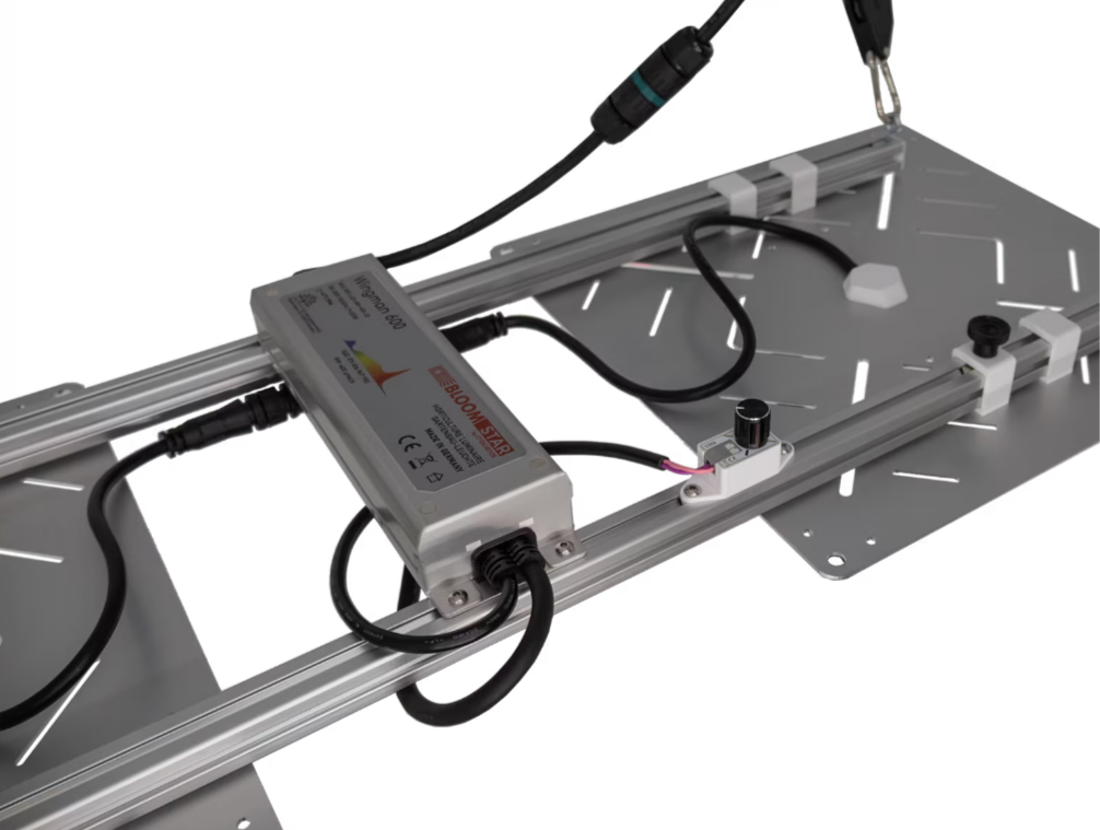 Wingman 600 (2 Fluxshield 300)