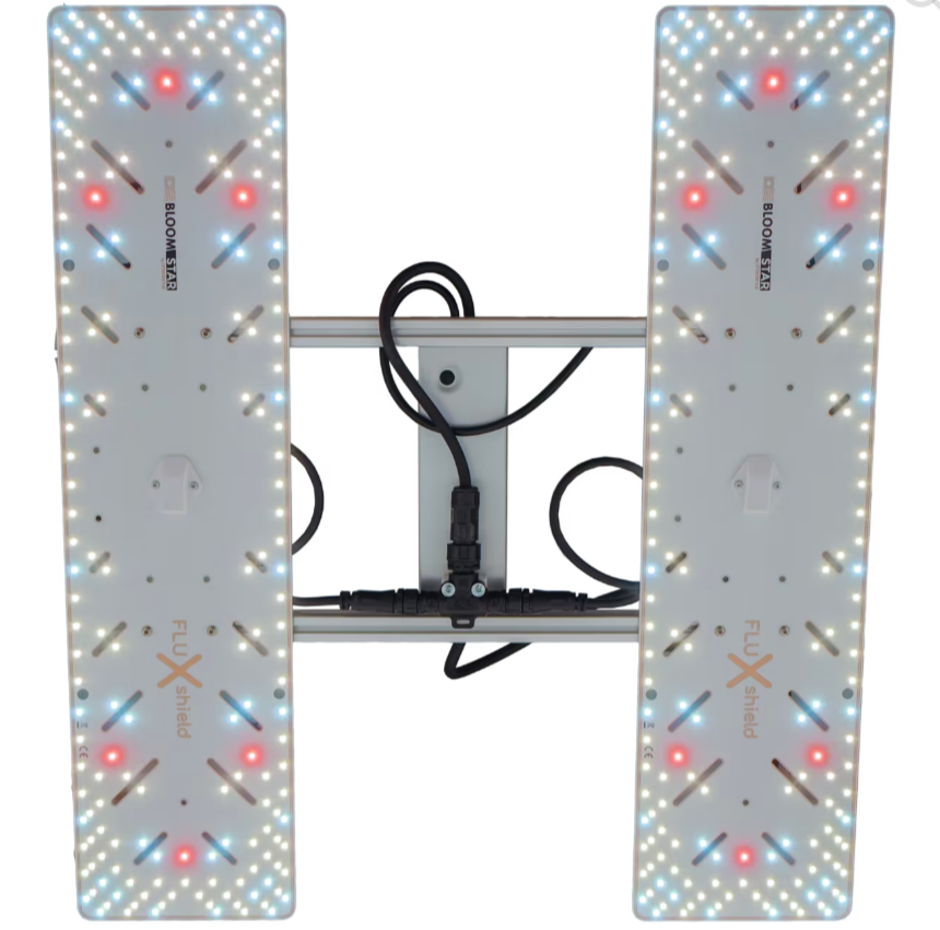 Der Wingman 600L - 80cm × 80cm