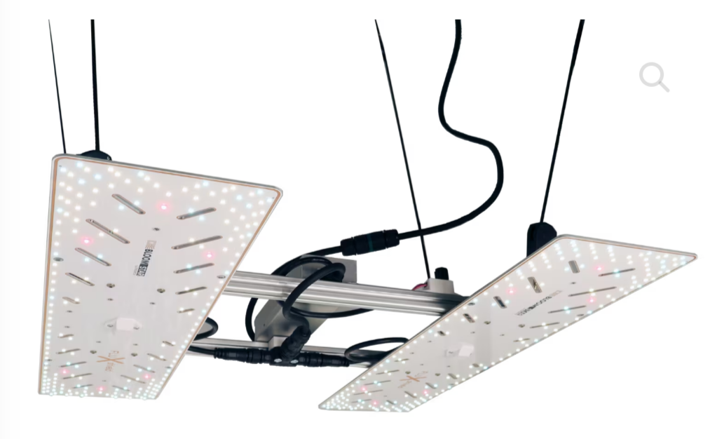 Der Wingman 600L - 80cm × 80cm