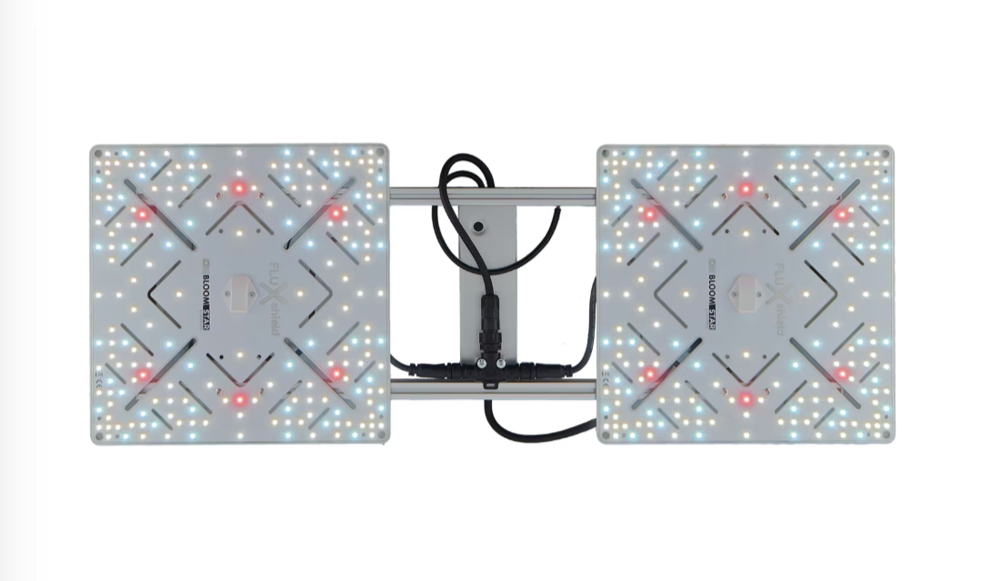 Wingman 600 (2 Fluxshield 300)