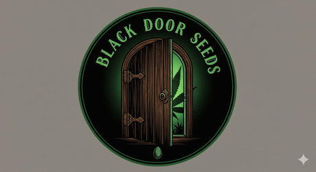 Black Door Seeds
