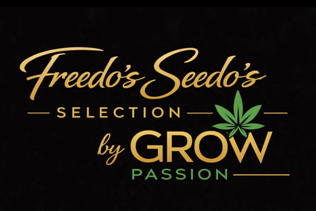 Freedo's Seedo's Selection